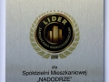 Lider Zarządzania Nieruchomościami 2015