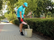 Półmetek Wakacyjnej Pracy dla Młodych w Głogowie